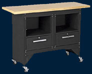 Trainer Addition:  Multipurpose Workbench